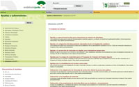 Página Web de la Junta de  Andalucía
