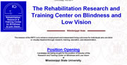 Vocational Rehabilitation: Transition Services that Lead to Competitive Employment Outcomes for Transition-Age Individuals with Blindness or Other Visual Impairments.