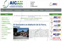 Página Web de la Asociación de Implantados Cocleares de Andalucía.